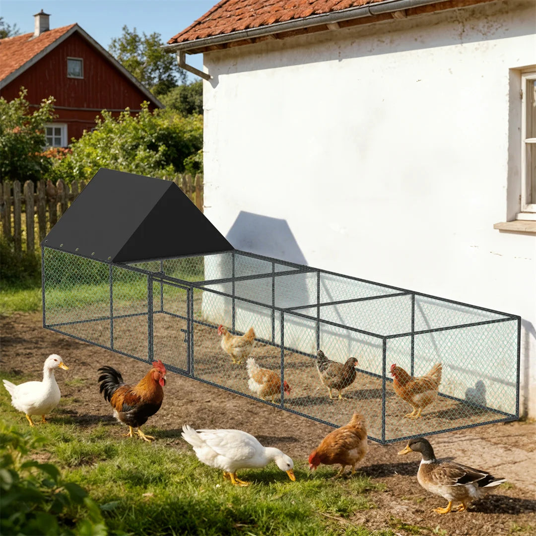 Walk-in Outdoor Chicken Coop Cage, Poultry Run Pen Fence with Nylon Netting & Silver Powder-Coated Metal Tubes, for Ducks Hens