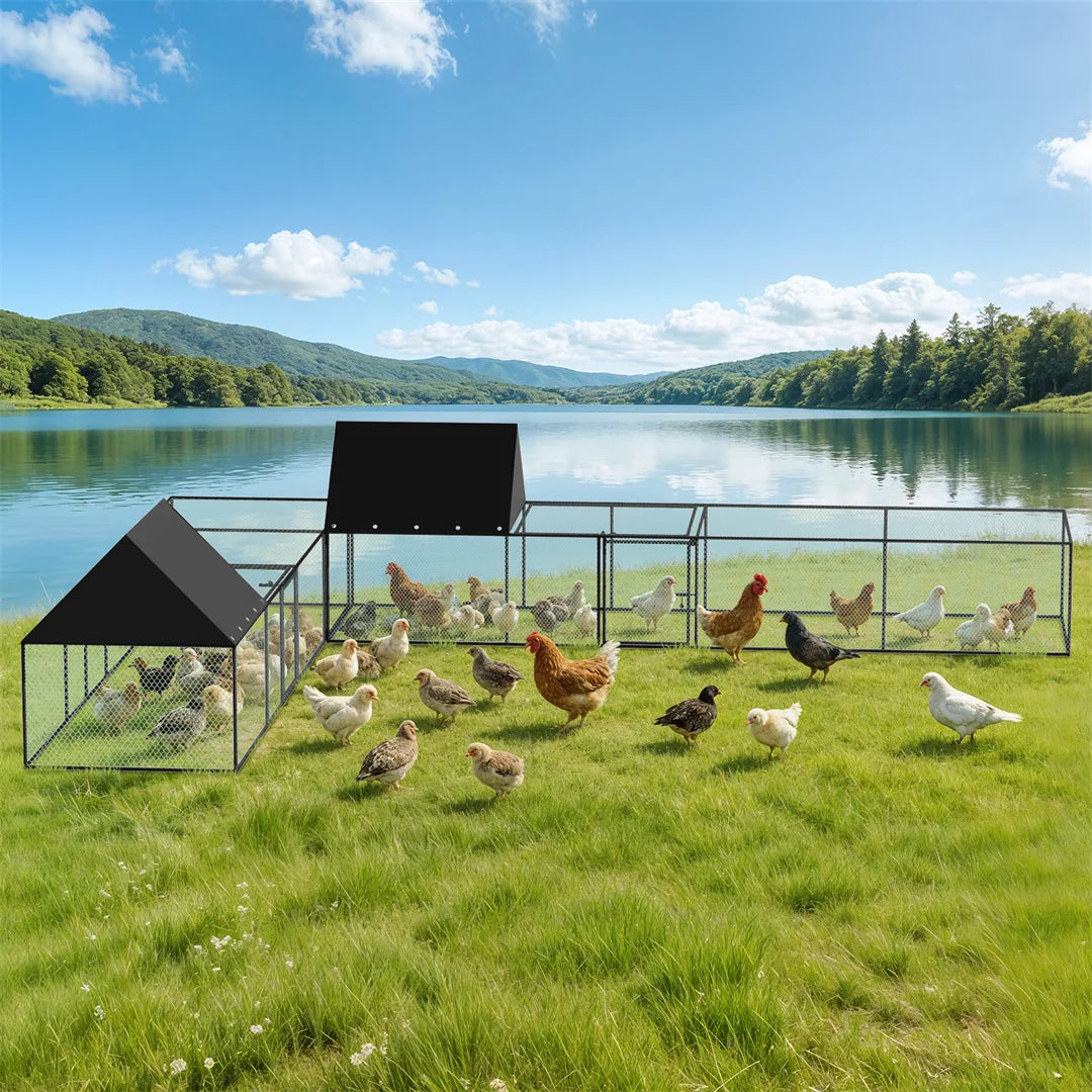 Walk-in Outdoor Chicken Coop Cage, Poultry Run Pen Fence with Nylon Netting & Silver Powder-Coated Metal Tubes, for Ducks Hens