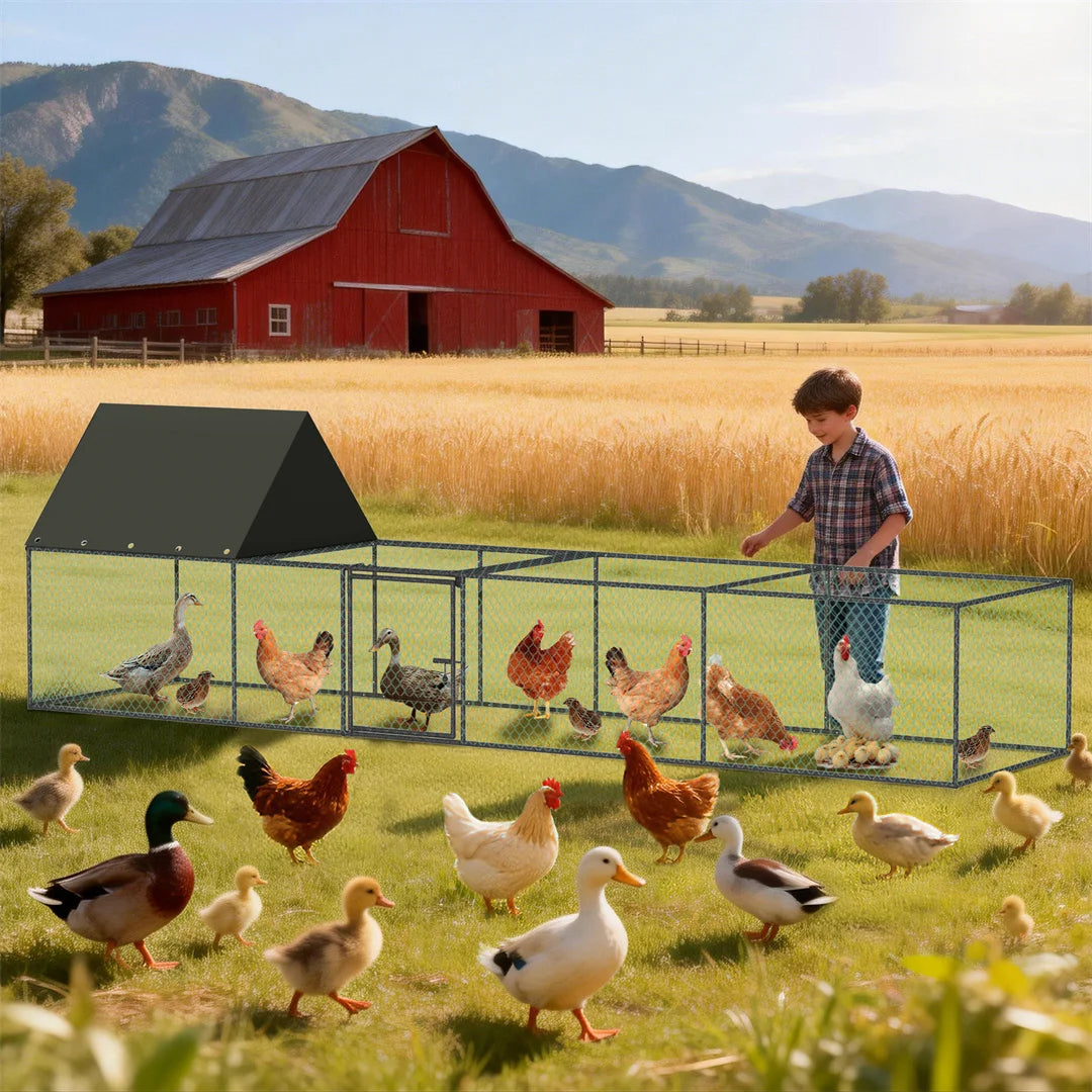 Walk-in Outdoor Chicken Coop Cage, Poultry Run Pen Fence with Nylon Netting & Silver Powder-Coated Metal Tubes, for Ducks Hens