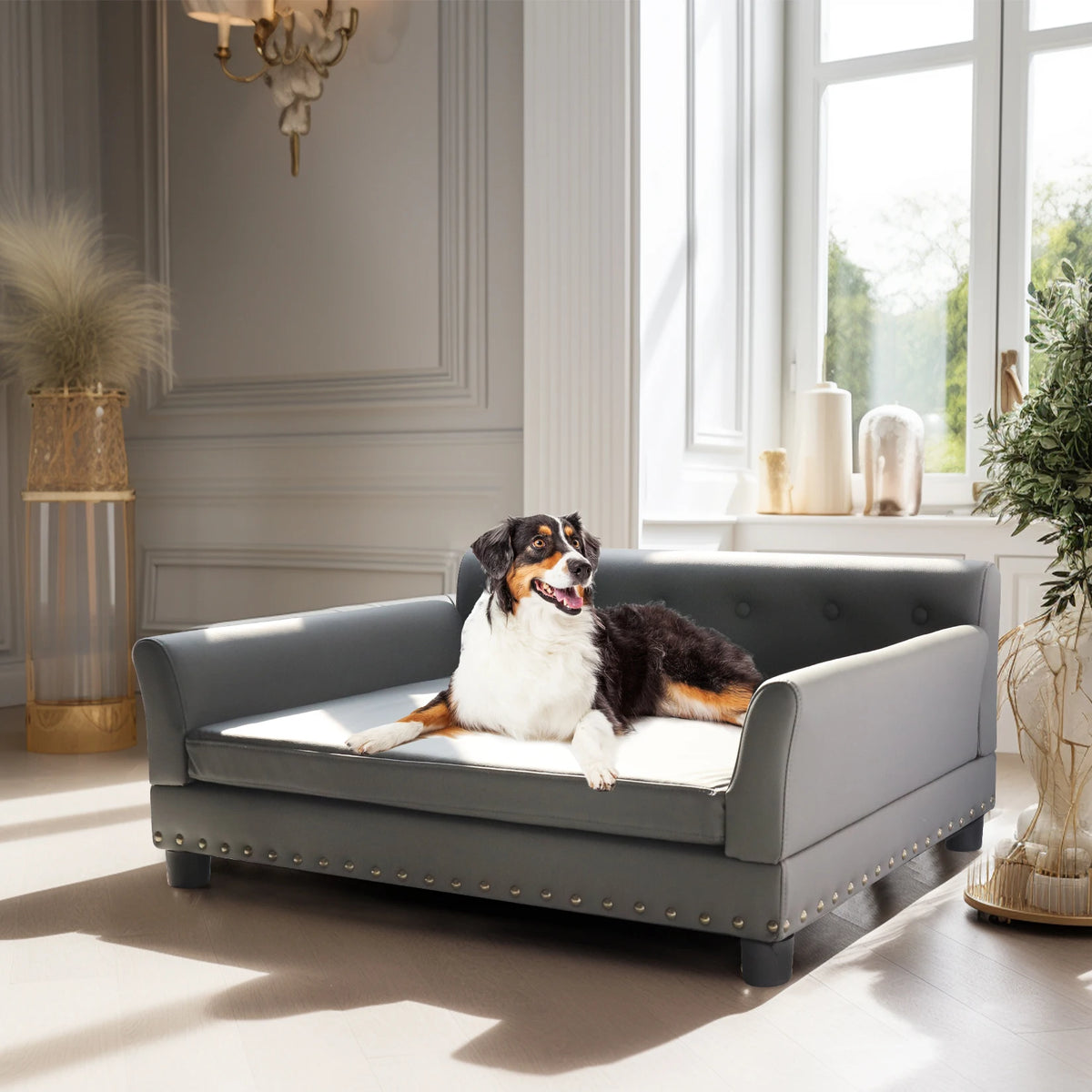 Rectangle Pet Bed for Medium and Large Dogs, Durable Elevated Dog Sofa Bed, Comfortable Dog Couch, Modern Dog Sofa